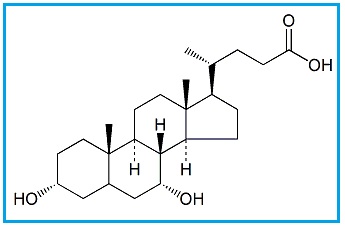 Ursodeoxycholic Acid EP Impurity A 